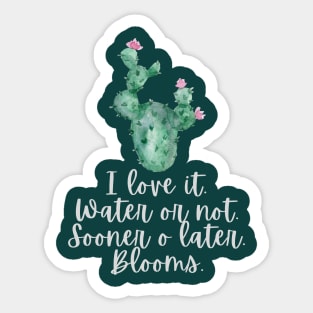 Cactus always blooms Sticker